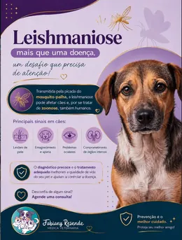Post do Instagram sobre leishmaniose em cães: sinais e prevenção